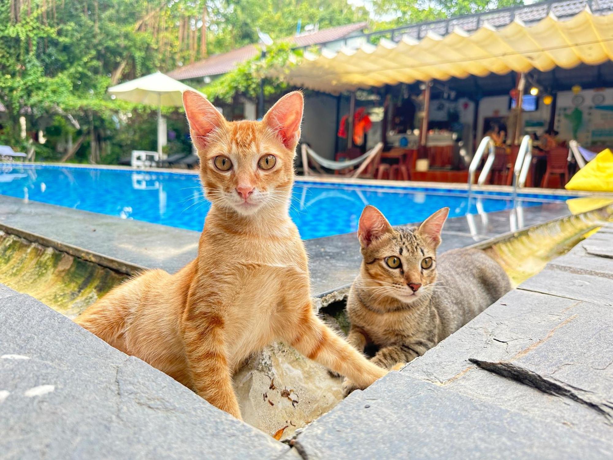 Have Fun Phu Quoc Villa Luaran gambar